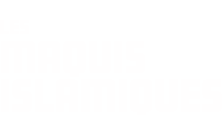 Les maquis islamiques