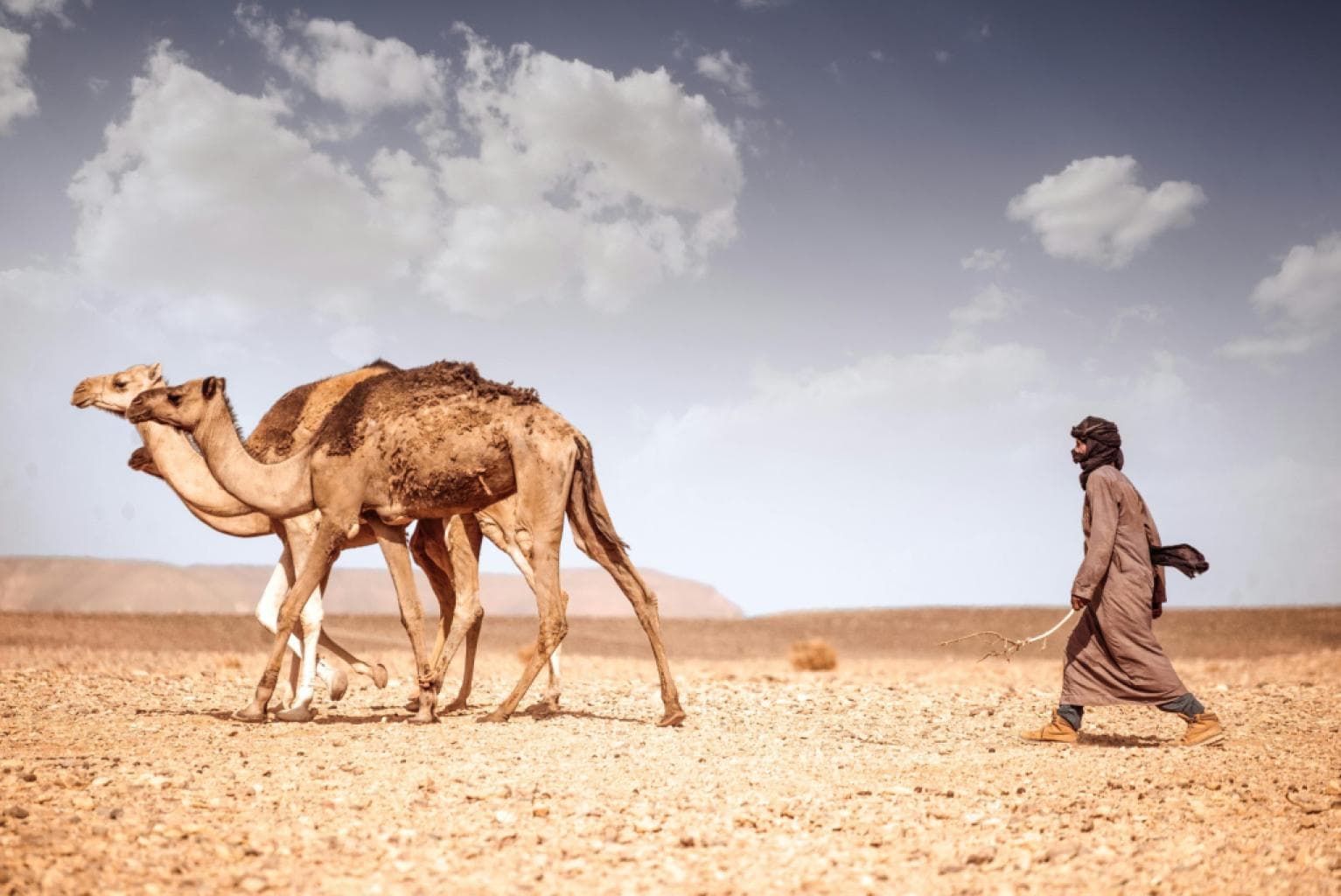 Algérie : une touriste suisse étranglée par un islamiste dans le Sahara