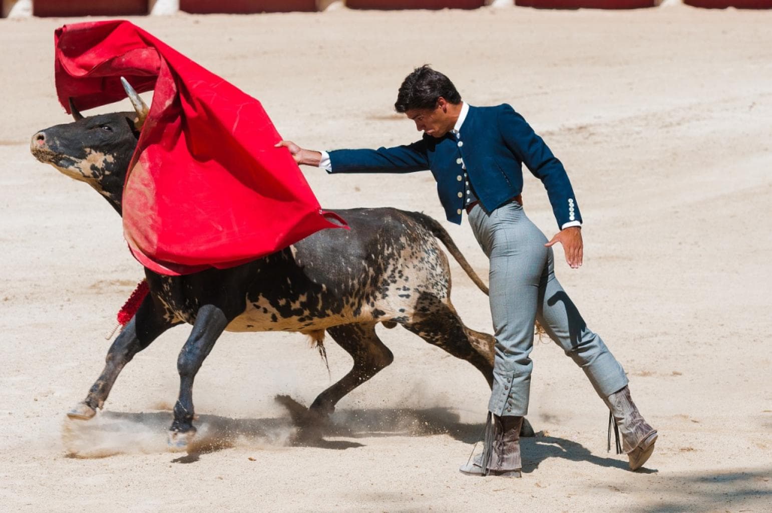 Le Sénat dit non à l'interdiction de la corrida pour les mineurs