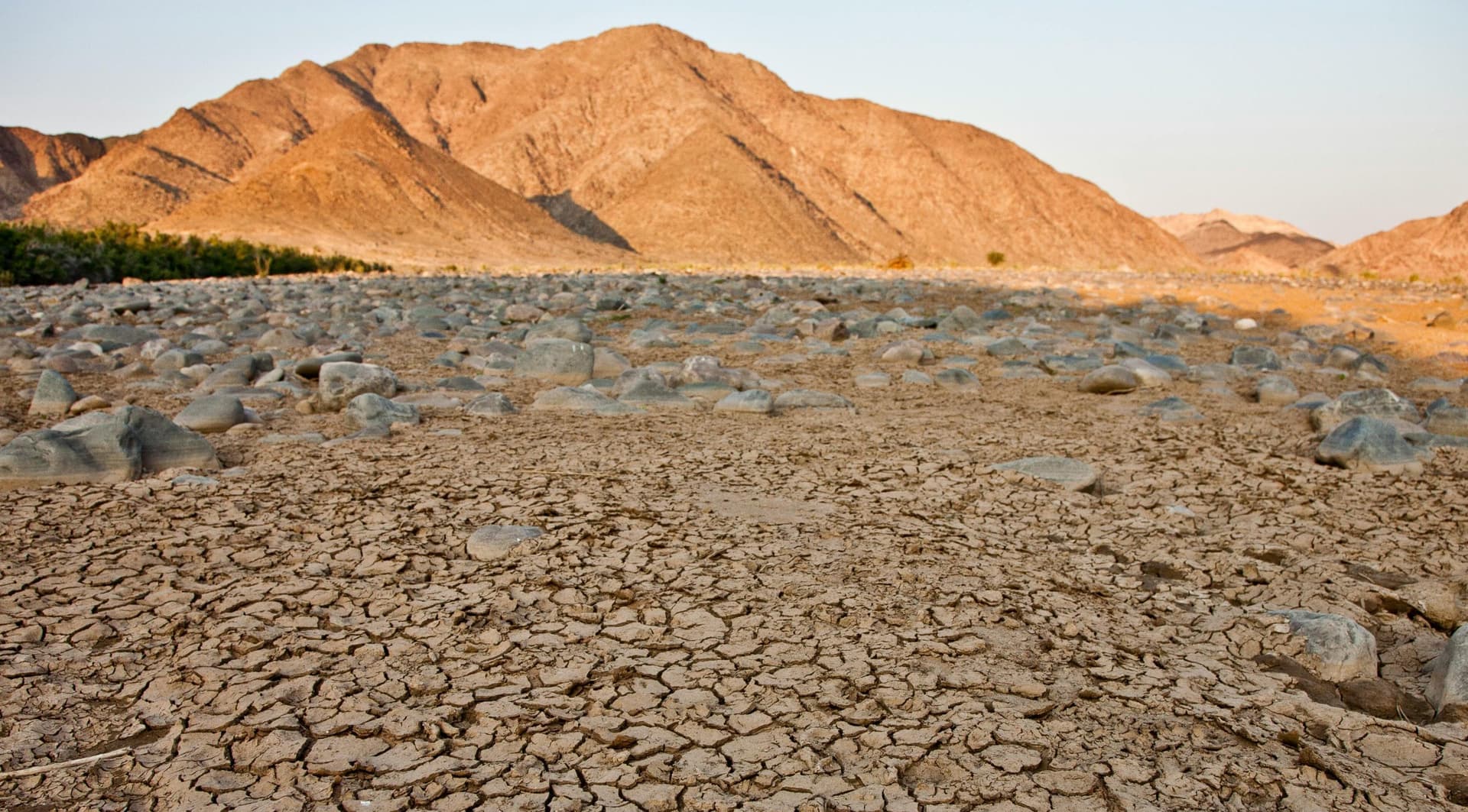 COP16 : trois quarts des terres mondiales sont devenues plus sèches en 30 ans, alerte l'ONU