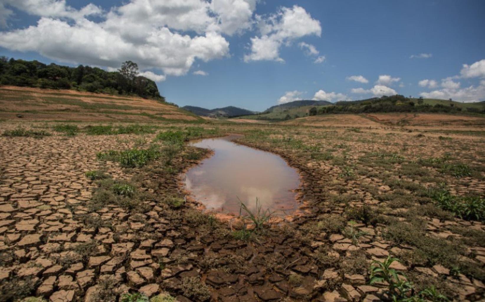 2024, l'année la plus chaude jamais enregistrée et première à dépasser le seuil des 1,5°C de réchauffement climatique