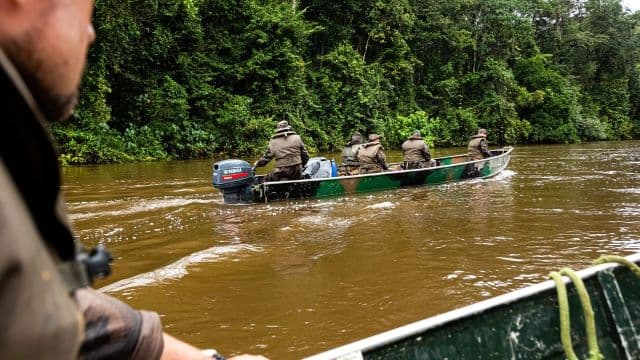 Guyane : enfer vert pour métal jaune