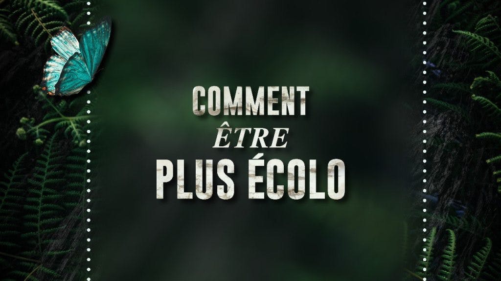 Comment être plus écolo