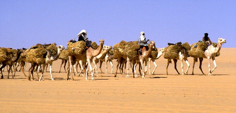 Pour le Jubilé de Mohamed VI, la France reconnait le Sahara marocain