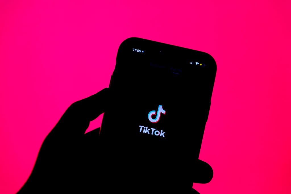 Bordeaux : apologie du terrorisme sur TikTok, un Afghan condamné