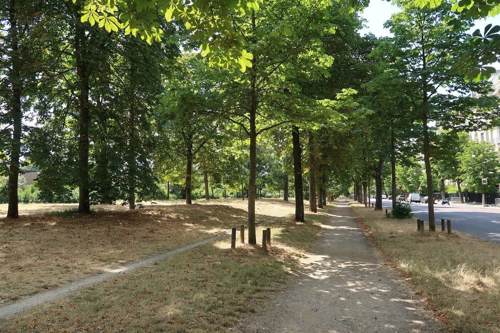 Tentative de viol dans le Bois de Boulogne : une joggeuse de 19 ans échappe à son agresseur