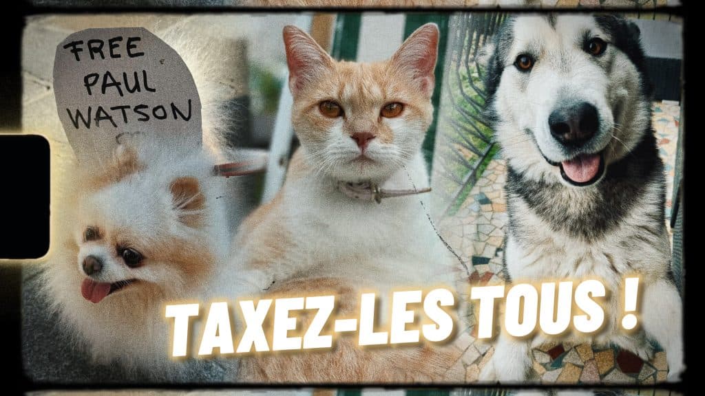 [Édito] Allez-vous bientôt payer une taxe sur vos animaux de compagnie ?