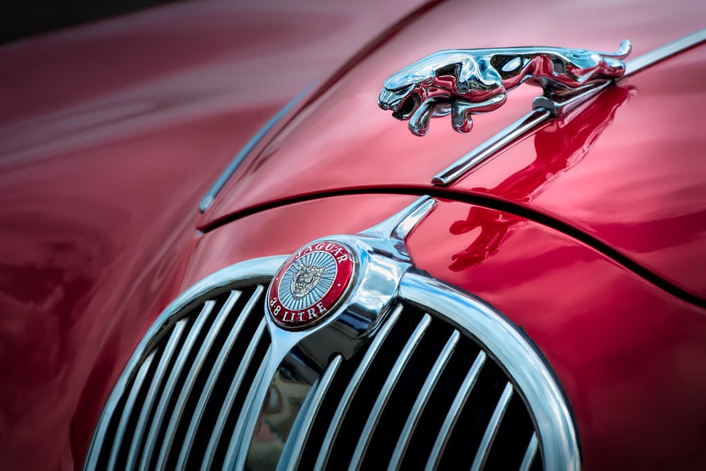 Le constructeur automobile Jaguar critiqué à cause de sa nouvelle identité visuelle jugée « woke »